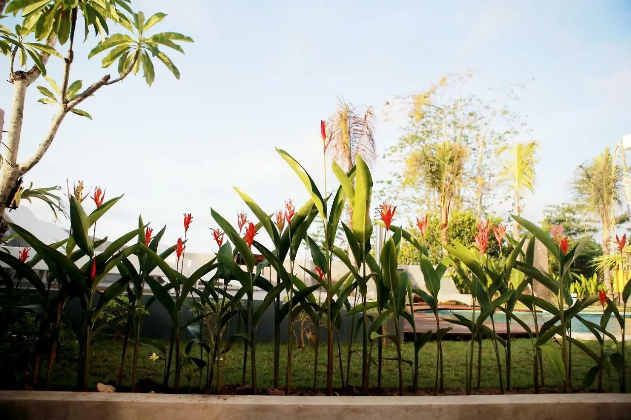 Vanilla Suite Jimbaran Guest house